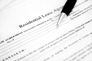 Dialpidations Surveys